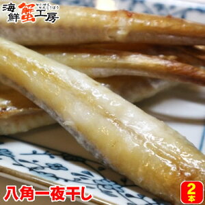 kCY p 銱 2{  Ă ӎ  ͂ nbJN kCH O aj  j j Mtg Ε N NNn