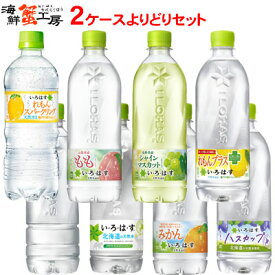 い・ろ・は・す 天然水 540mlPET×24本 2箱 48本 よりどり セット もも ハスカップ みかん シャインマスカット れもん スパークリング 2ケース ペットボトル ミネラルウォーター 炭酸 フレーバー 選べる コカ・コーラ 飲料 メーカー直送 ラベルレス