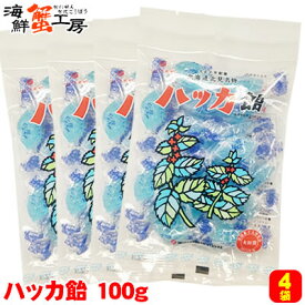 ハッカ飴 100g 4個セット 永田製飴 北海道 北見 名物 お土産 のど飴 キャンディー メール便 送料無料 クロネコゆうパケット ご当地 ギフト 個包装 誕生日祝 御礼 内祝 お取り寄せ グルメ