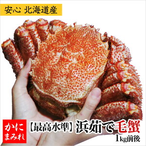 l䥂ŖуKjE Yyg胉NƊEōF3`4z