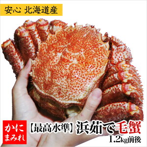 l䥂ŖуKjE Yyg胉NƊEōF3`4z