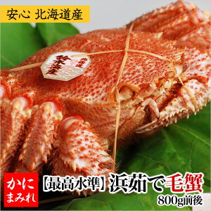 �l䥂ŖуK�j�E���� ���Y���y�g���胉���N�ƊE�ō������F3���`4���z