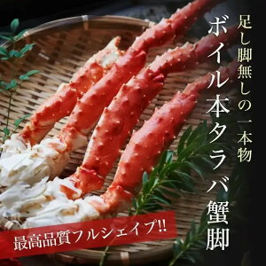 ^oKjY{Cr@rł̏dʁIōitVFCviS{j