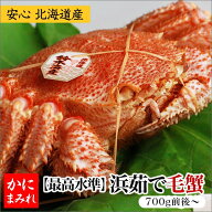 浜茹で毛ガニ・特大 無添加【身入りランク業界最高水準：3特〜4特】