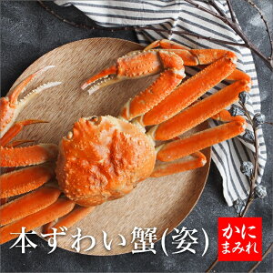 I{킢Ipy䥂ŏグ}ⓀzY