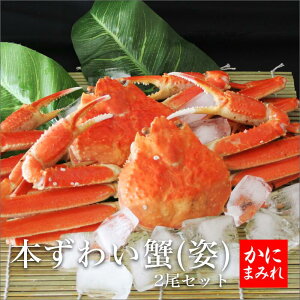 {킢I^l䥂Ŏp Zbg̔@rirjؖI