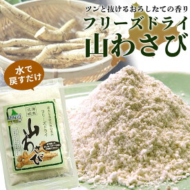 【楽天スーパーSALEポイント2倍】 北海蝦夷 山わさび 18g （フリーズドライ加工 粉末タイプ） 選べる1袋・3袋 無添加山山葵 安心 保存食 長期保存 薬味 蕎麦 そうめん ステーキ 寿司 メール便送料無料【メール便対応・代引不可・着日指定不可・名入れ不可】