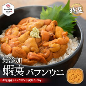 【父の日ギフト】 北海道産 蝦夷バフンウニ 塩水パック100g うに 雲丹 バフンウニ 天然 生うに 海鮮 朝獲れ 無添加 ミョウバン不使用 安心安全 生食 贈り物 お取り寄せ お中元 お祝い 熨斗 バースデー 誕生日 お歳暮 夏ギフト 稀少品 夏季限定 父の日