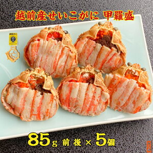 zOYɍbD݃TCY5Zbg ZRKj  I  Jj ɂ݂ Y Ⓚ Jj݂ ނg Mtg ⓀO b 󂠂    y Hׂ₷ 