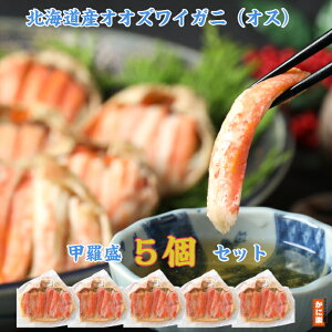 kCYIIYCKj(IX)b5Zbg  Jj I y gނ go ɂ݂ JjX Y ⓀO Hׂ₷  󂠂 ƒp b _炩 j Mtg 