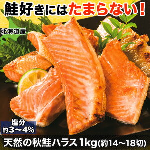 北海道産 秋 鮭の人気商品 通販 価格比較 価格 Com 北海道産 秋 鮭の人気商品 通販 価格比較 価格 Com