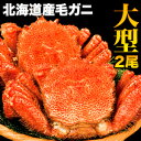 【お値引きクーポン配布中】 2尾 合計1.1kg 北海道産大型毛ガニ（ボイル済） 総重量約1.1kg ボイル済 カニ かに 蟹 毛蟹 毛がに カニ味噌 蟹ミソ 甲羅 満足良品館カニ 食べ物 海鮮 バーベキュー 満足良品館 全国送料無料