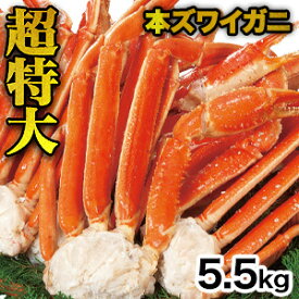 【スーパーSALE応援セール中】5.5kg 超特大ズワイガニ肩付き脚(ボイル済) 大型 カニ かに 蟹 茹で蟹 ずわいがに ずわい蟹 本ズワイ 天麩羅 炊き込みご飯 食べ物 美味しい 海鮮 バーベキュー BBQ 満足良品館 全国送料無料