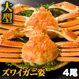 【お値引きクーポン配布中】2.4kg4尾 大型ボイルズワイガニ姿 総重量:約2.4kg(4尾 正味重量2kg) かに カニ 蟹 ずわい蟹 姿 蟹姿 かにみそ 蟹みそ かに身 カニ身 ずわいがに 甲羅盛 鍋 ボイル 全国送料無料