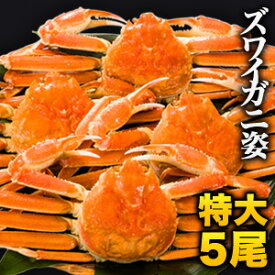 3.6kg 5尾 特大ボイルズワイガニ姿 特大ずわいがに姿 ズワイガニ ずわいがに ずわい蟹 ズワイ蟹 蟹姿 カニ姿 ズワイガニ味噌 かにみそ 蟹みそ ボイルズワイ ボイルずわいがに 満足良品館カニ 全国送料無料