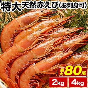 2kg or 4kg VRԂсihgjԊCV Ԃ AJGr  CV Gr   VՂ GrtC VN NxQ C̍K CN Ⓚ Ǖi 