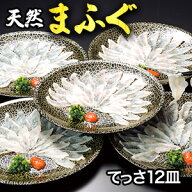 【お値引きクーポン配布中】12皿合計540g 国産天然まふぐ刺し身 ふぐ フグ 河豚 刺身 生食 天然 てっさ …