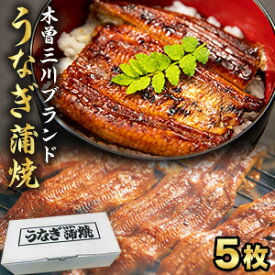 三重県 木曽三川ブランド うなぎ蒲焼(カット) 5枚 国産鰻 蒲焼 国産 鰻 うなぎ ウナギ 化粧箱入り 木曽三川 うなぎ蒲焼き 土用の丑の日 土用 お祝い 海鮮 ギフト 贈り物 贈物 満足良品館 送料無料
