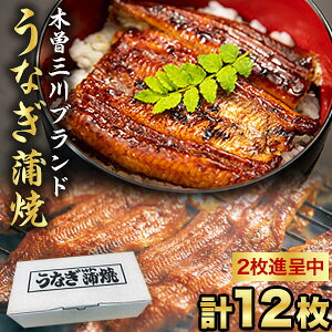 【お買い物マラソン応援SALE中】三重県 木曽三川ブランド うなぎ蒲焼(カット) 12枚 国産鰻 蒲焼 国産 鰻 うなぎ 化粧箱入り 木曽三川 うなぎ蒲焼き 土用の丑の日 土用 お祝い 海鮮 ギフト 贈り