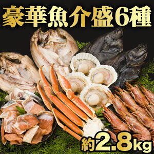yX[p[SALEZ[z6 2.8kg ؋Zbg YCKj ԃGr zbP JC z^e  CN Ⓚ tr hg 銱  CNZbg Zbg CNlߍ킹 k