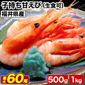500g or 1kg 福井県産 子持ち甘えび (生食可) 冷凍あまえび お刺身アマエビ 甘海老 エビ 生 甘えび刺身 甘エビさしみ エビお造り 甘えび天ぷら 甘えび唐揚げ 甘えび冷凍 満足良品館 送料無料