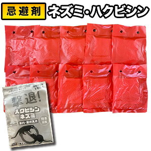 y10A20zlY~EnNrVuރpbN nNrV lY~ ˂ lY~ ރpbN lY~΍ lY~悯 VR  Ǖi S