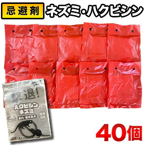 40 lY~EnNrVuރpbN nNrV lY~ ˂ lY~ ރpbN lY~΍ lY~悯 VR  Ǖi S