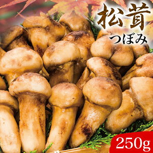 250g VR(ڂ) 1 ܂ }c^P  ݂ ̂ z Ⓚ yY j v[g Mtg  Ǖi 