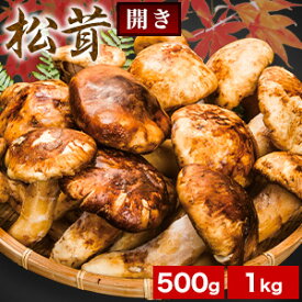 500g or 1kg 天然松茸(開き) まつたけ マツタケ 松茸ご飯 炊き込みご飯 きのこ お吸い物 冷凍 お土産 お祝い プレゼント ギフト おすすめ 満足良品館 送料無料