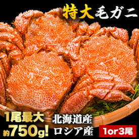 【お値引きクーポン配布中】1尾約730g 3尾約2.2kg 3尾約2.4kg 特大毛ガニ ボイル済 茹でガニ カニ 北海道産 ロシア産 かに 蟹 毛蟹 毛ガニ 毛がに カニ味噌 蟹ミソ 甲羅 甲羅酒 特大サイズ 満足良品館 全国送料無料