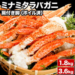 ylN[|zzz1.8kg 3.6kg 8`24 STCY {C~i~^oKjtr ~i~^o ݂Ȃ݂ ^oKj  ^o ^oI 삽 ^oKjtr 