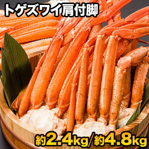 ylN[|zzz2.4kg 4.8kg 9`26 ^{CgQYCtr gQYCKj Ƃ킢 Ƃ킢 gQYC 킢I YCI Jjtr {CYC {C