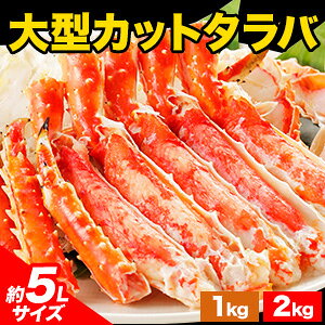 ylN[|zzz1kg 2kg 5LTCY ^{C^oKjJbg  ^o ΂ɃJbg ^oKjJbg ΂ ΊI ΋r ^o|[V ^