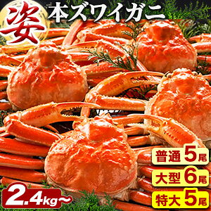 ylN[|zzz52.4kg 62.4kg {C{YCKjp 傸킢Ɏp YCKj 킢 傸킢I YCI Ip Jjp YCKjX ɂ݂ I݂ {