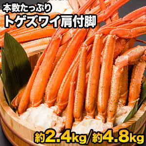 yBLACK FRIDAYSALEz2.4kg 4.8kg 13`40 gQYCtr({C) gQYCKj Ƃ킢 gQYC Ƃ킢 YC 킢I YCI YCKjr {CYCKj 