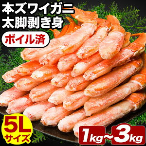 �y���l�����N�[�|���z�z���z1kg�`3kg ��5L�T�C�Y ��^�Y���C�K�j���r�������g(�{�C����) ��^�J�b�g�Y���C ���킢���ɑ傫�߃J�b�g ���킢 �Y���C �J�b�g�Y���C ���킢���ɃJ�b�g�� �Y���C�K