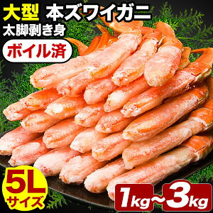 yX[p[SALEZ[z1kg`3kg 5LTCY ^YCKjrg({C) ^JbgYC 킢ɑ傫߃Jbg 킢 YC JbgYC 킢ɃJbg YC