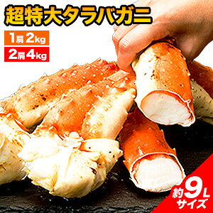 楽天商品画像