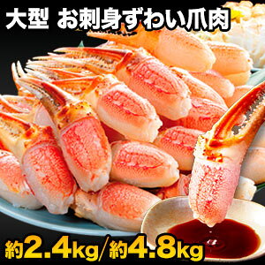 【お値引きクーポン配布中】大型お刺身用ズワイガニ爪剥き身 1.5kg or 3kg 特大ズワイ爪肉生 生ズワイガニ爪 生ずわい爪 生ズワイ爪肉 カニお刺身 生ずわいがに ズワイ ずわい 生ズワイポーシ
