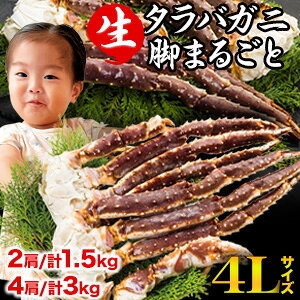 4LTCY 21.5kg or 43kg ^oKjtr Hs ^oKj ΂ ^o  ^o ^o ^oIr ΂Ɍtr ^oKjtr ɐ ̊I I 