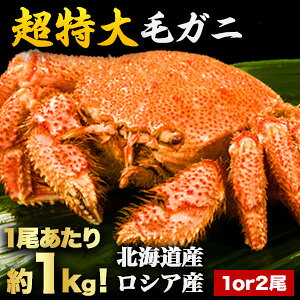 【お買い物マラソン応援SALE中】約1kg(1尾) or約2kg(2尾) 超特大毛ガニ ボイル済 茹でガニ カニ 北海道産 ロシア産 かに 蟹 毛蟹 毛ガニ 毛がに カニ味噌 蟹ミソ 甲羅 甲羅酒 満足良品館カニ 食べ