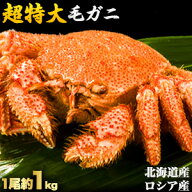 【お値引きクーポン配布中】1尾約1kg 2尾約2kg 超特大毛ガニ ボイル済 茹でガニ カニ 北海道産毛ガニ ロ…