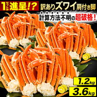 1.2kg 3.6kg 最大21肩 訳ありボイルズワイガニ肩付き脚 ズワイガニ ずわいがに 蟹 かに カニ ボイルズワ…