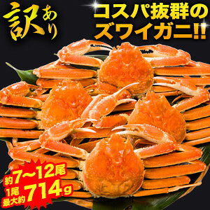 ylN[|zzz7`12 5.5kg(5kg) 󂠂YCKjp({C) 킢 킢I YCI Ip Jjp YCKjX ɂ݂ I݂ {CYC {C킢