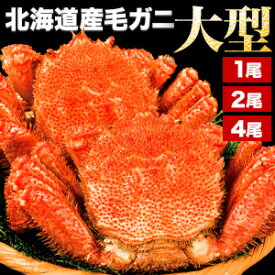 【お値引きクーポン配布中】1尾約600g 2尾約1.2kg 4尾約2.2kg 北海道産毛ガニ ボイル済 茹でガニ カニ かに 蟹 毛蟹 毛ガニ 毛がに カニ味噌 蟹ミソ 甲羅 甲羅酒 北海道産 国産 国産毛ガニ 濃厚なカニ味噌 姿 姿丸ごと 満足良品館 全国送料無料
