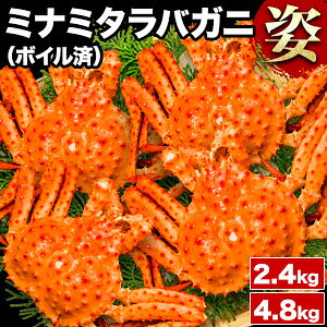 ylN[|zzz2.4kg 4.8kg 3`8 {C~i~^oKjp ~i~^o ݂Ȃ݂ ^oKj  ^o ^oI 삽 ^oKjp Ύp {C^oK