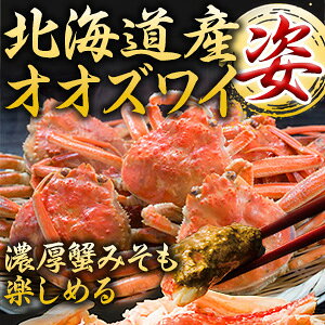 【お値引きクーポン配布中】小さめ 普通 大型 北海道産大ズワイガニ姿(ボイル済) 2.3kg 4.6kg ズワイ ずわい ずわいがに姿 ズワイガニ ズワイ蟹 ずわい蟹 大ズワイガニ カニ オオズワイガニ ボ