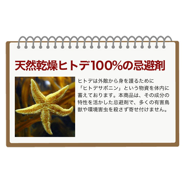 楽天市場 ヒトデdeでんでん 6袋 3kg ヒトデ忌避剤 害虫対策 害獣対策 イノシシ対策 ネズミ カラスよけ ハトよけ 虫よけ ヒトデででんでん ヒトデ 畑を守る 寄せつけない 撒く 吊るす 土壌改良 害虫害獣用忌避剤 快適生活 送料無料 満足良品館