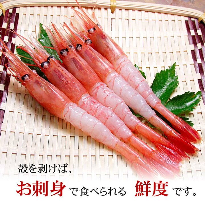 楽天市場 ナンバンエビ 甘エビ冷凍 3lサイズ 1kg 50尾前後入り 甘海老のプリップリの食感とトロける甘み 蝦 味噌も絶品 お刺身 お寿司で食べられる甘えび なんばんえび 南蛮海老 北海道の海鮮お取り寄せ かに太郎 楽天市場 ナンバンエビ 甘エビ冷凍 3lサイズ 1kg 50尾前後入り 甘海老のプリップリの食感とトロける甘み 蝦 味噌も絶品 お刺身 お寿司で食べられる甘えび なんばんえび 南蛮海老 北海道の海鮮お取り寄せ かに太郎