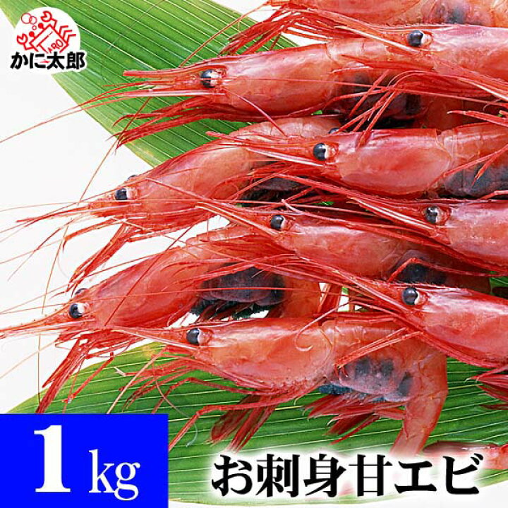 楽天市場 ナンバンエビ 甘エビ冷凍 2lサイズ 1kg 50尾前後入り 甘海老のプリップリの食感とトロける甘み 蝦 味噌も絶品 お刺身 お寿司で食べられる甘えび なんばんえび 南蛮海老 北海道の海鮮お取り寄せ かに太郎
